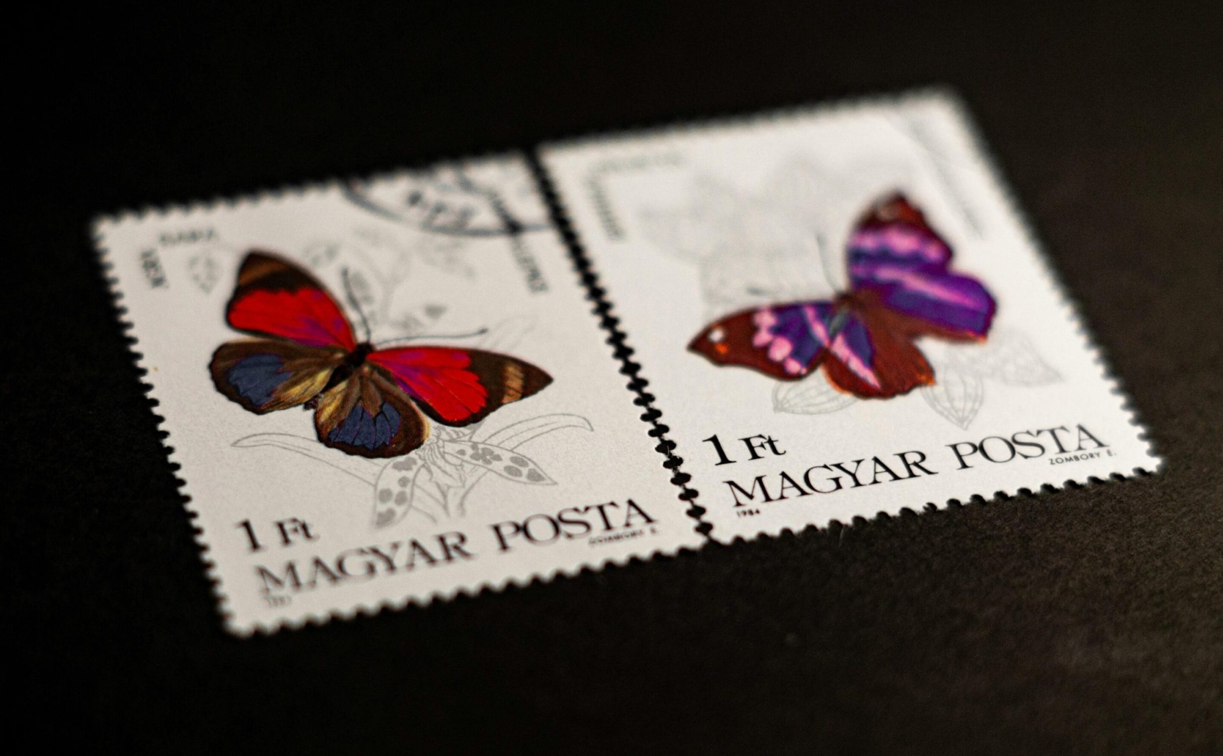 Butterfly stampls pexels-sanlad-11860586